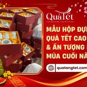 Mẫu hộp đựng quà tặng tết