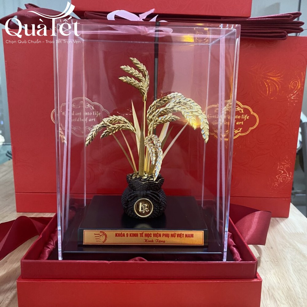 Chậu cây dát vàng quà tặng tết