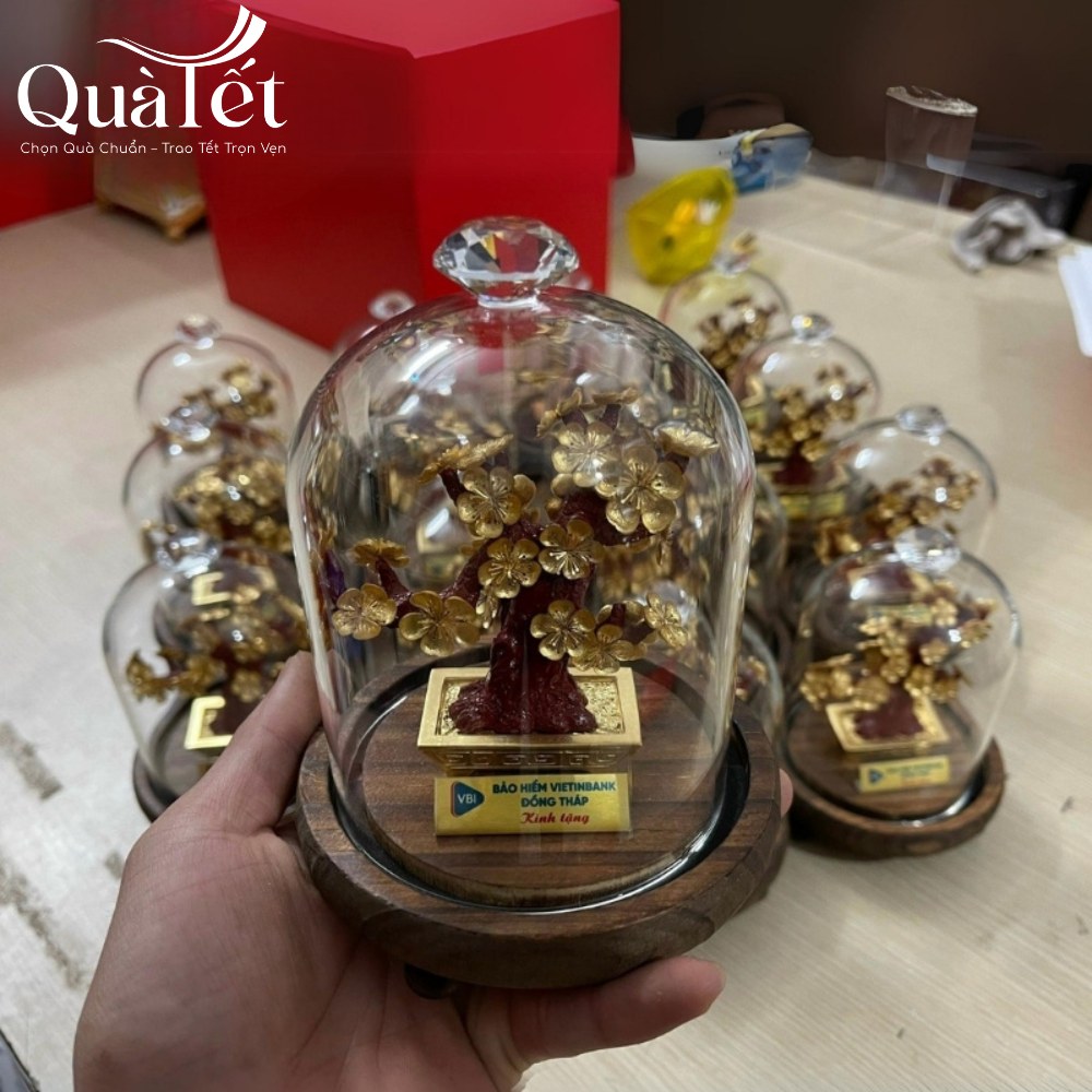 Chậu cây dát vàng quà tặng tết