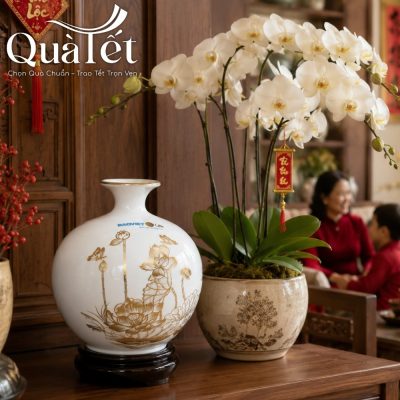 Bình hút tài lộc gốm sứ vẽ vàng dặt cạnh chậu lan hồ diệp trắng trong phòng khách ấm cúng ngày Tết